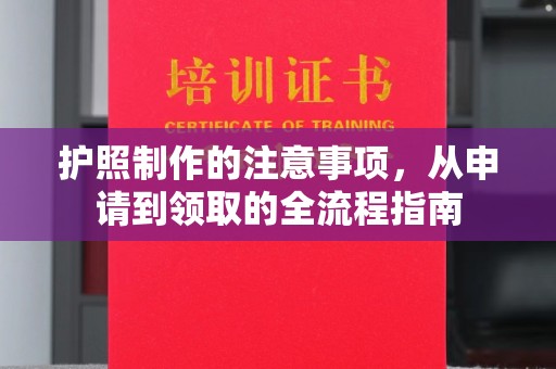 东湖护照制作的注意事项，从申请到领取的全流程指南
